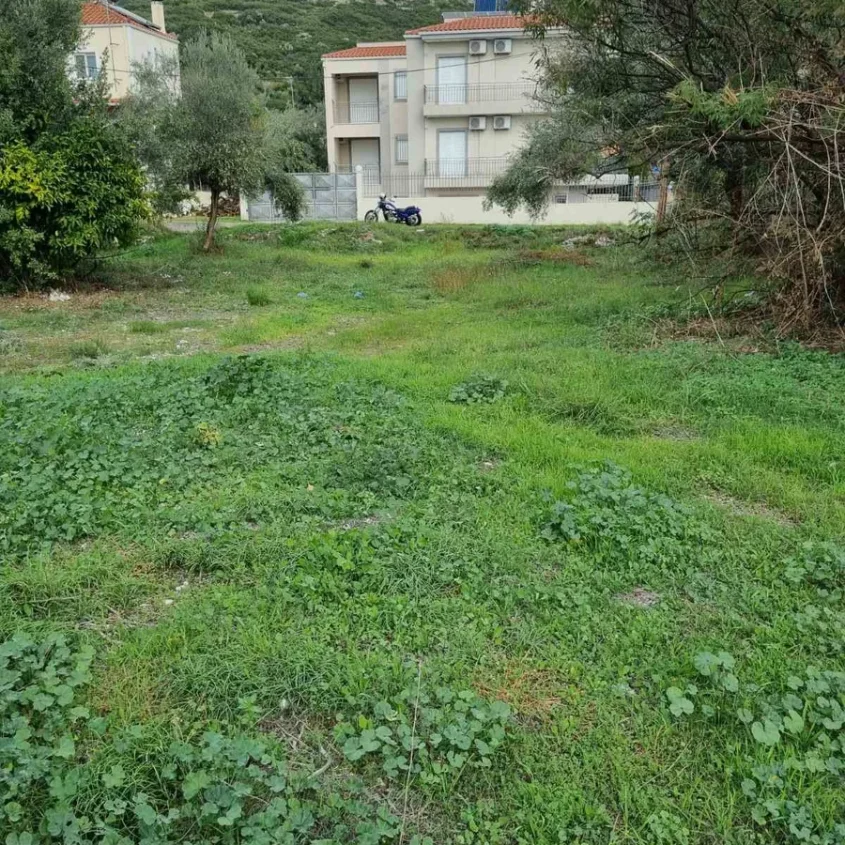 ΠΩΛΕΙΤΑΙ ΓΩΝΙΑΚΟ ΟΙΚΟΠΕΔΟ 658 τ.μ. – ΛΥΓΙΑ ΝΑΥΠΑΚΤΟΥ